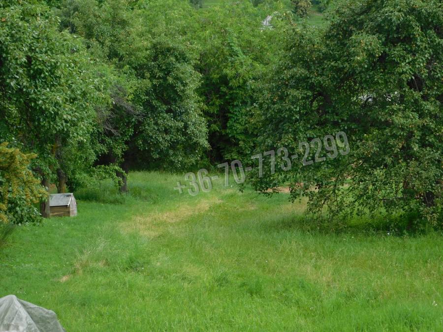 eladó  Építési telek, Noszvaj