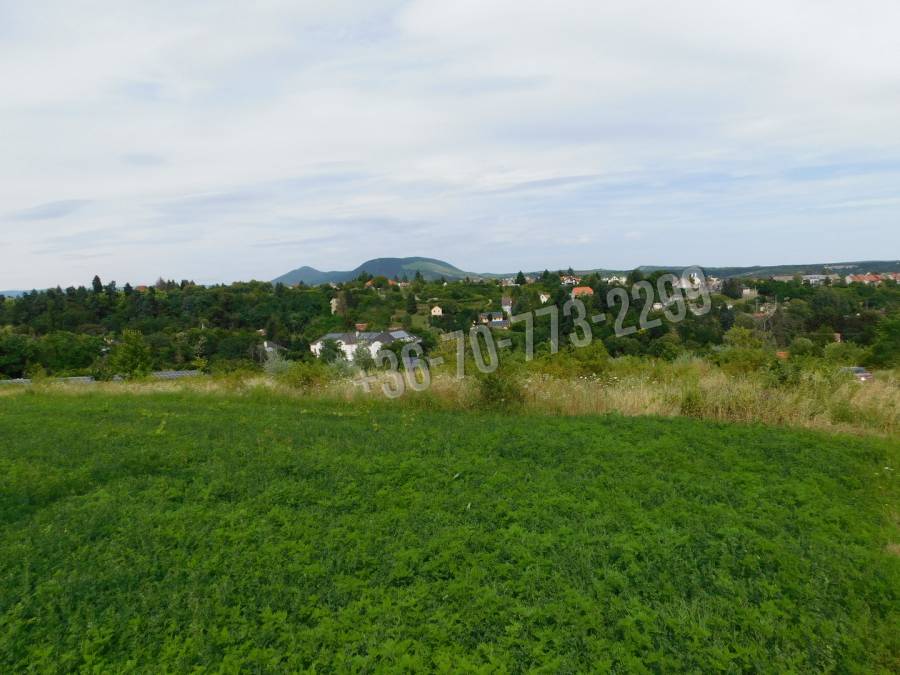 eladó  Szőlős, Eger