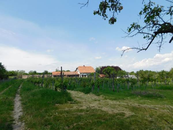 eladó tanya, Eger